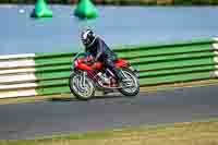 Vintage-motorcycle-club;eventdigitalimages;mallory-park;mallory-park-trackday-photographs;no-limits-trackdays;peter-wileman-photography;trackday-digital-images;trackday-photos;vmcc-festival-1000-bikes-photographs